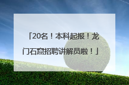 20名！本科起报！龙门石窟招聘讲解员啦！