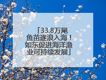 33.8万尾鱼苗逐浪入海！如东促进海洋渔业可持续发展