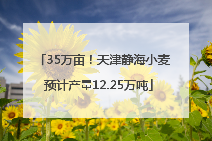 35万亩！天津静海小麦预计产量12.25万吨