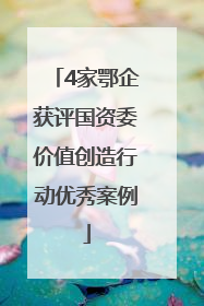 4家鄂企获评国资委价值创造行动优秀案例