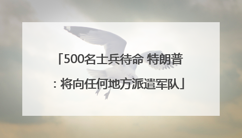 500名士兵待命 特朗普：将向任何地方派遣军队