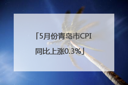 5月份青岛市CPI同比上涨0.3%