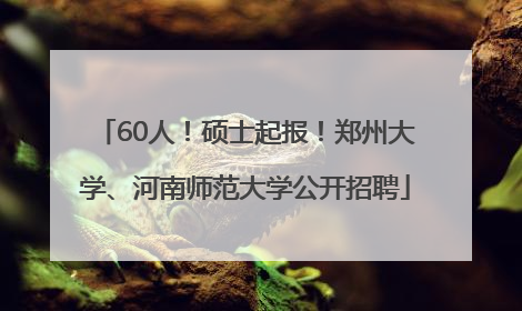 60人！硕士起报！郑州大学、河南师范大学公开招聘