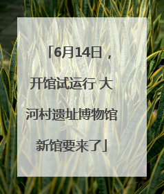 6月14日，开馆试运行 大河村遗址博物馆新馆要来了