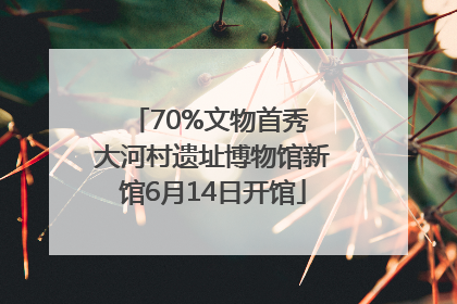 70%文物首秀 大河村遗址博物馆新馆6月14日开馆